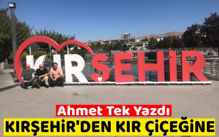 Ahmet Tek Kaleme Aldı : Kırşehir'den Kır Çiçeğine