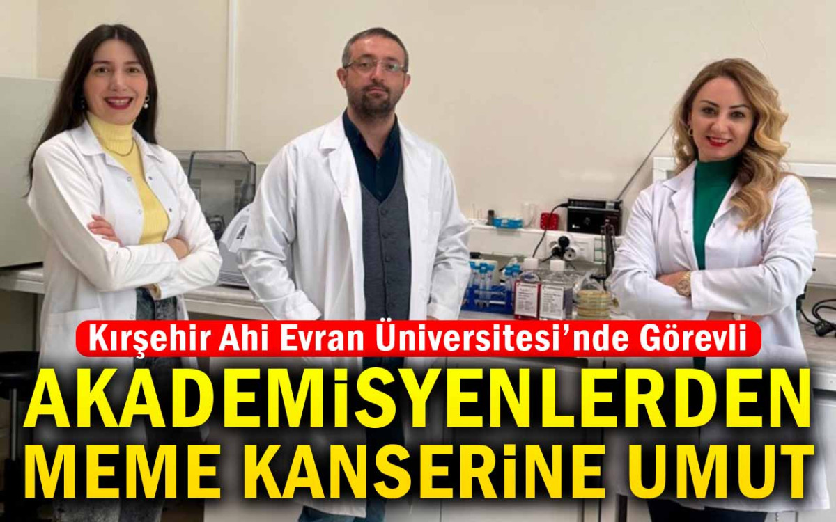 Akademisyenlerden Meme Kanseri İçin Umut Veren Çalışma