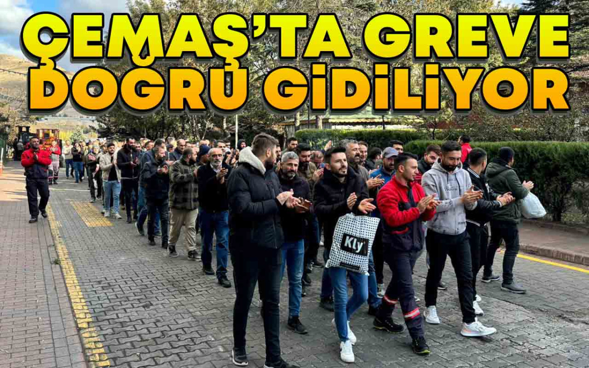 Çemaş'ta Greve Doğru Gidiliyor