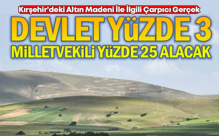 Devlet Yüzde 3 Milletvekili Yüzde 25 Alacak