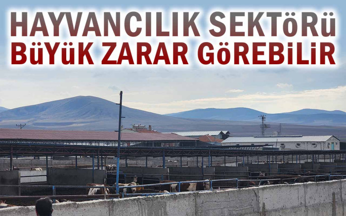 Hayvancılık Sektörü Büyük Zarar Görebilir