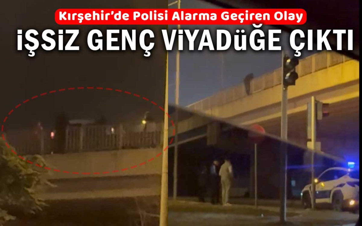 İşsiz Genç Viyadüğe Çıktı