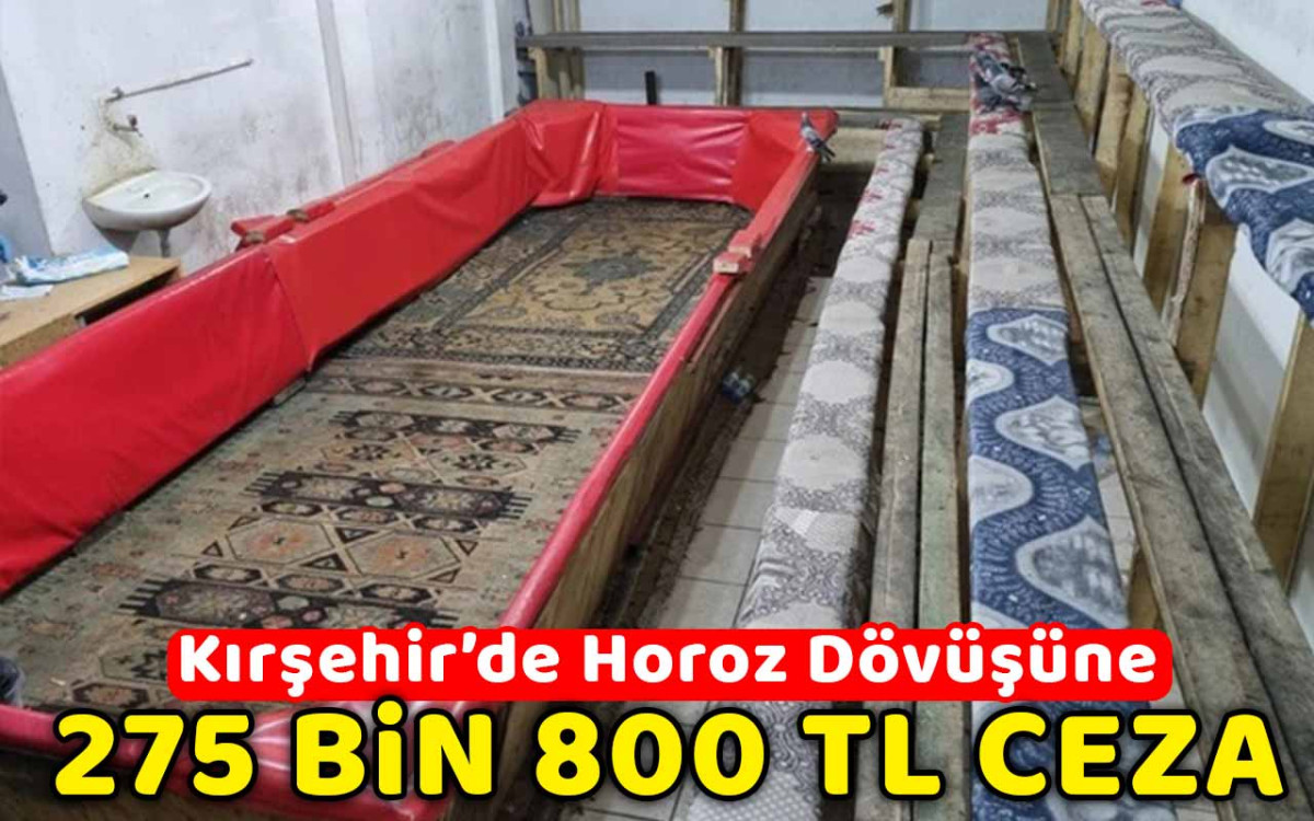 Kırşehir'de Horoz Dövüşüne 275 Bin 800 TL Ceza