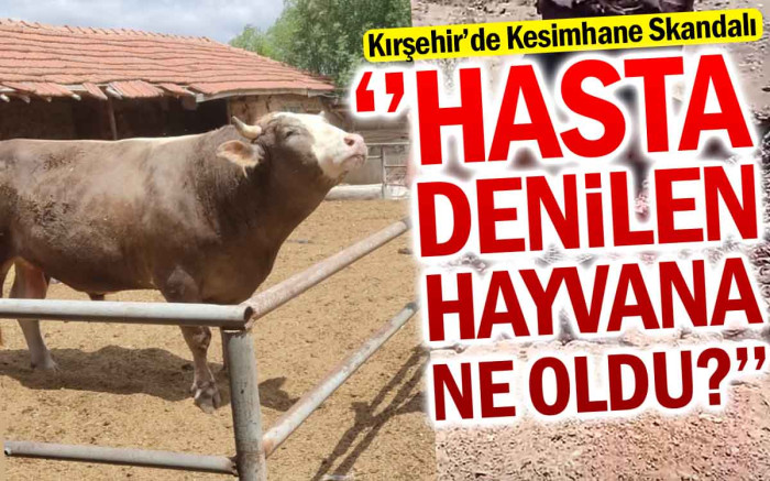 Kırşehir'de Kesimhane Skandalı