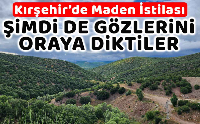 Maden Firmaları Şimdi de Gözlerini Oraya Dikti