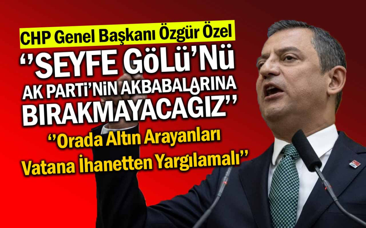 Özgür Özel'den Seyfe Gölü'ne İlişkin Flaş Açıklama