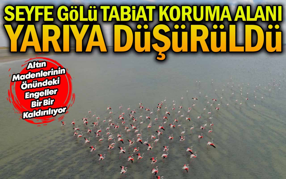 Seyfe Gölü Tabiat Koruma Alanı Yarıya Düşürüldü