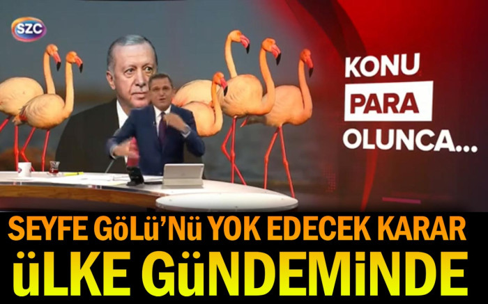 Seyfe Gölü'nü Yok Edecek Karar Ülke Gündeminde